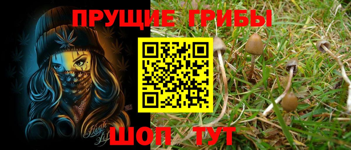 Кимовск  купить   Вход с VPN  Галлюциногенные грибы MAGIC MUSHROOMS 
